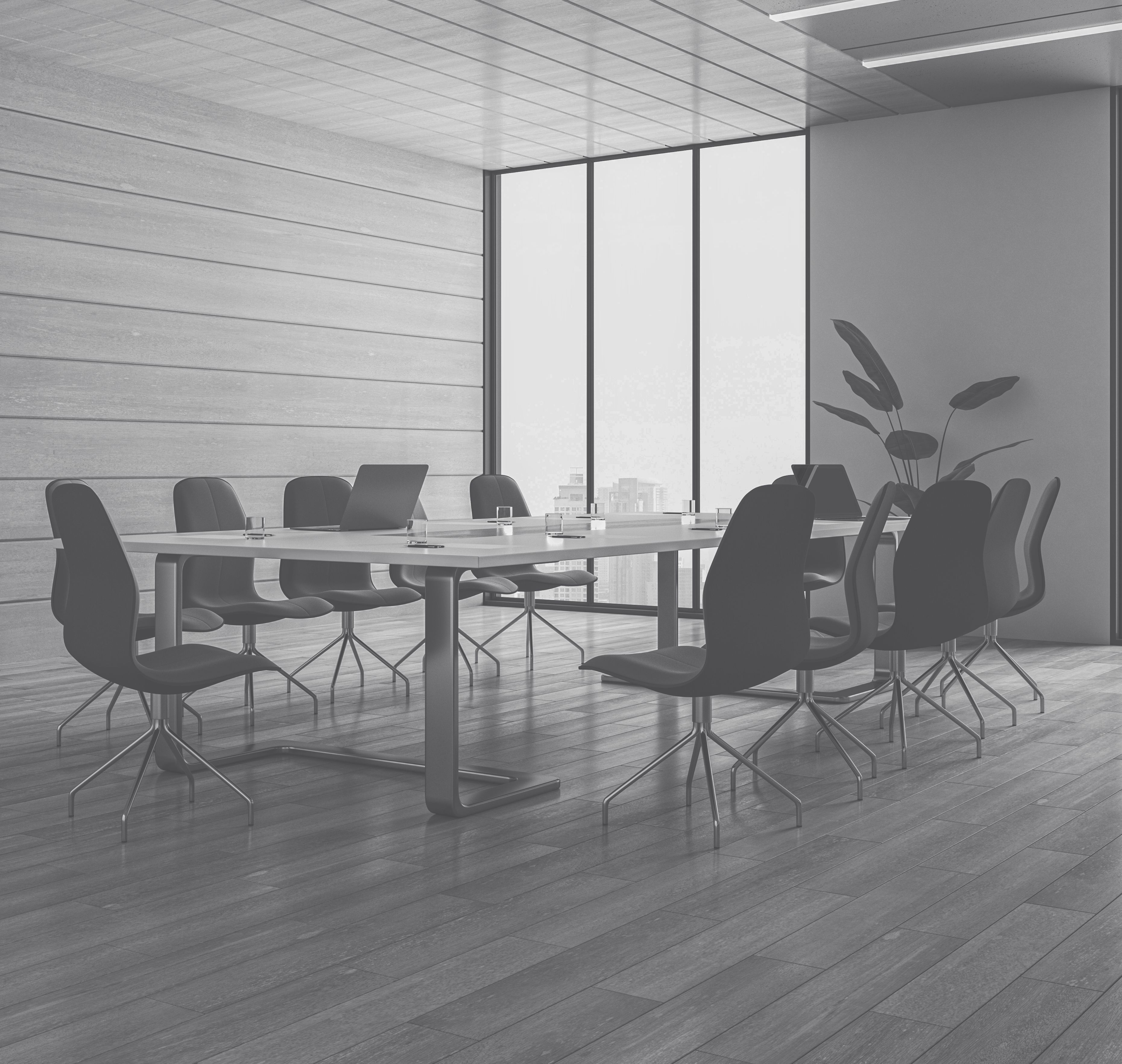 Fractional Leadership